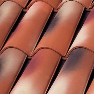 El Águila - Teja Casa Grande Santa Bárbara