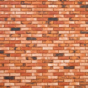 Ladrillo Macizo Metepec 6.5x24