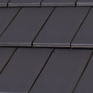 El Águila - Teja Plana Montecarlo Negro Baquelita