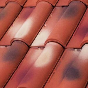 El Águila - Teja Renacimiento Santa Bárbara