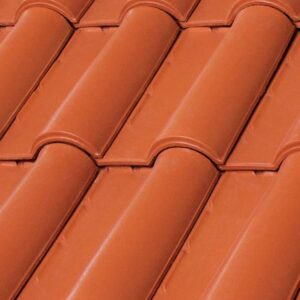 El Águila - Renacimiento Semiesmalte