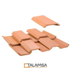 Teja Guadalajara (TG) Terracota 15x30