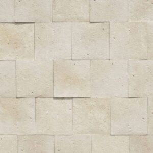 Cantera Conchuela Marfíl 40x40