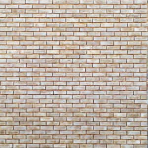 Tabique Misión Yagul 5.5x19.5